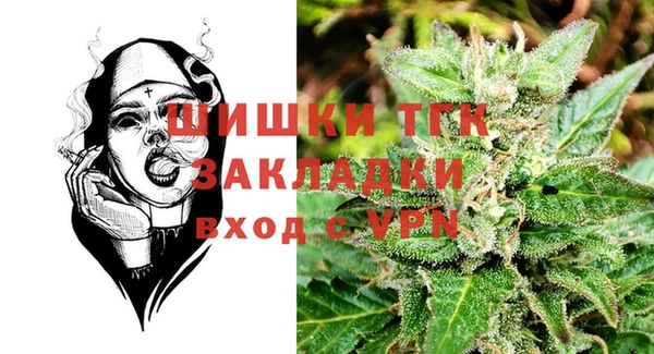 индика Покачи