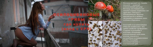 Альфа ПВП Покровск