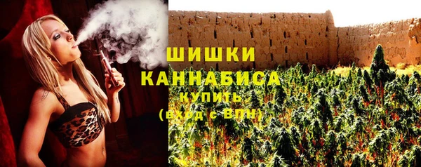индика Покачи