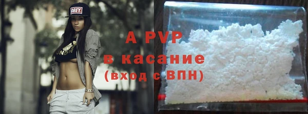 гидра Приозерск