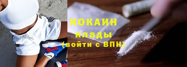 mdpv Протвино