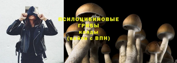 индика Покачи