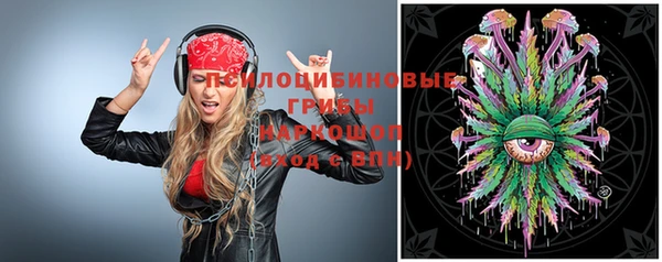 индика Покров